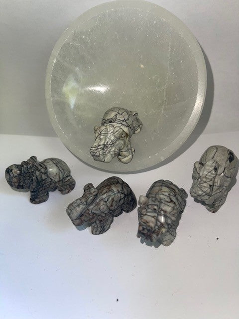 black network elephants