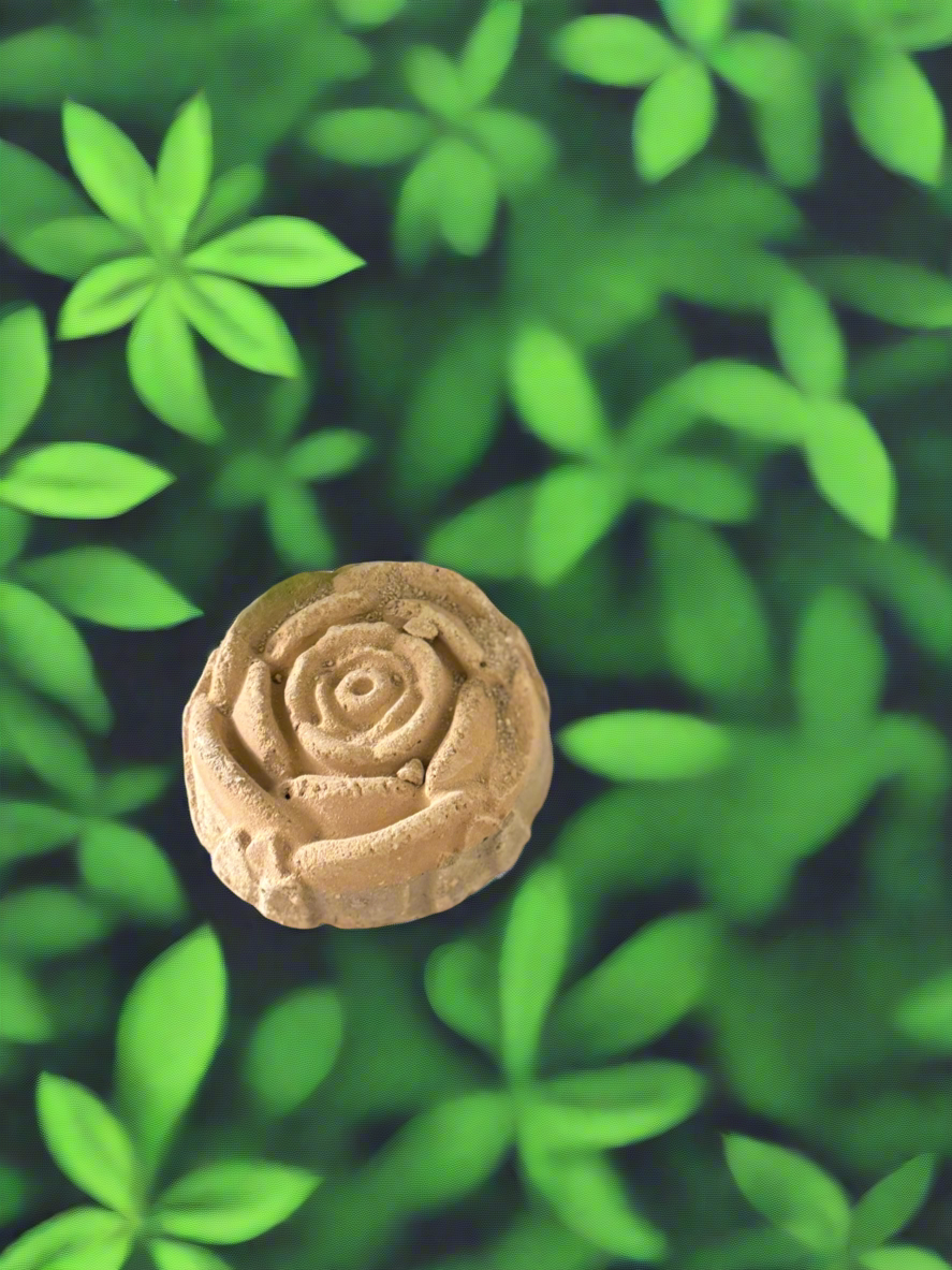 Rosa de piña