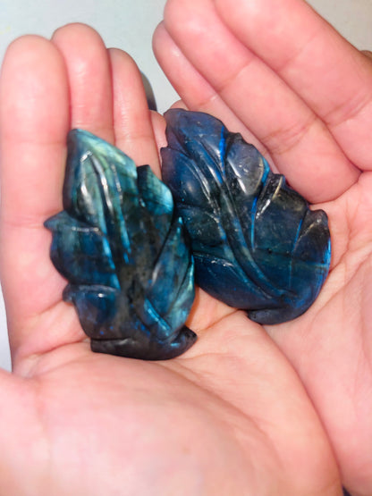 Labrodite leaf