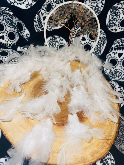 Dream catcher