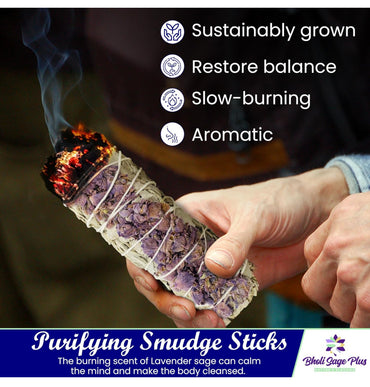 Lavender sage & white sage