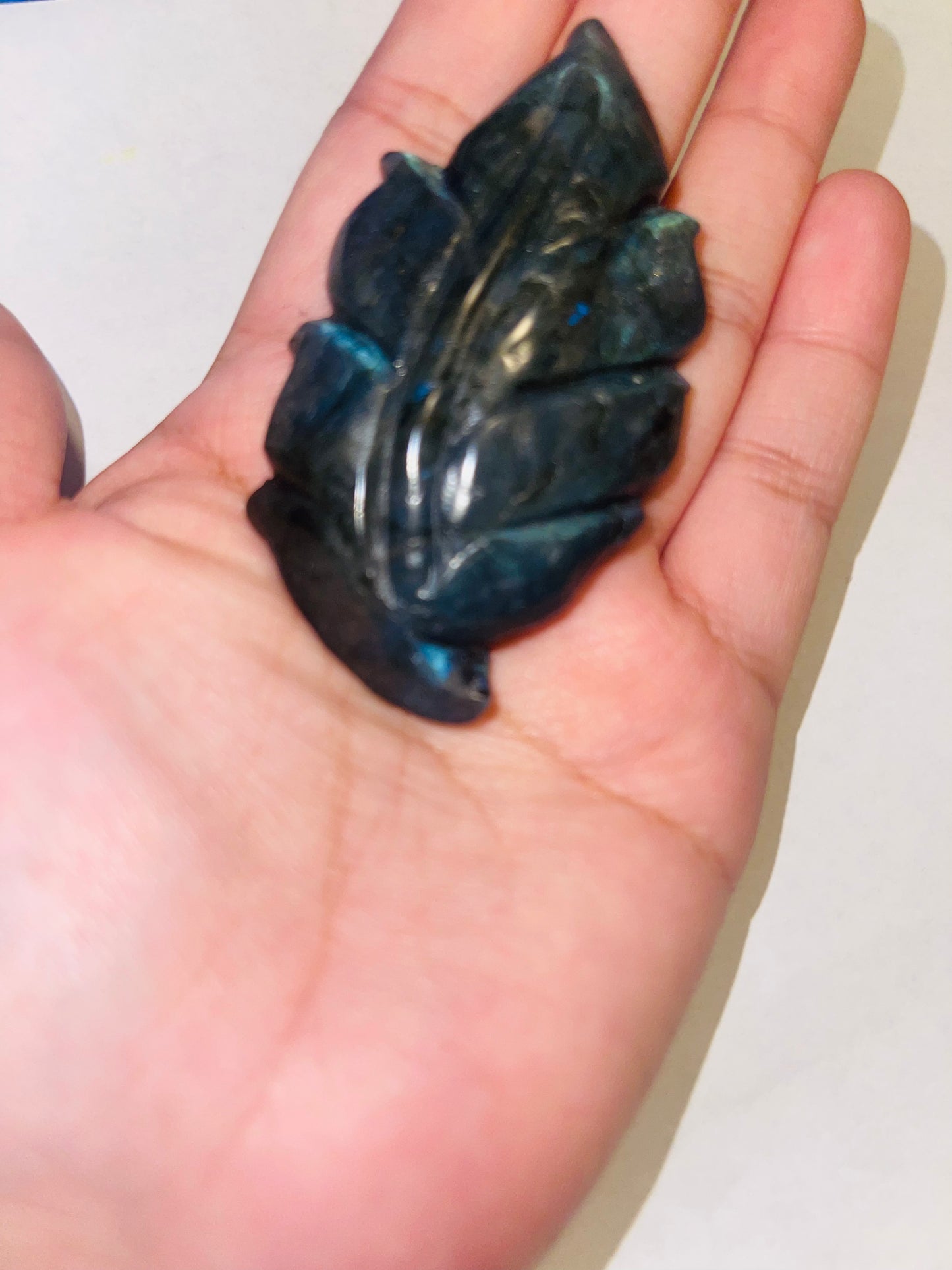 Labrodite leaf