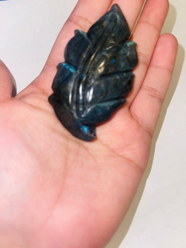 Labrodite leaf