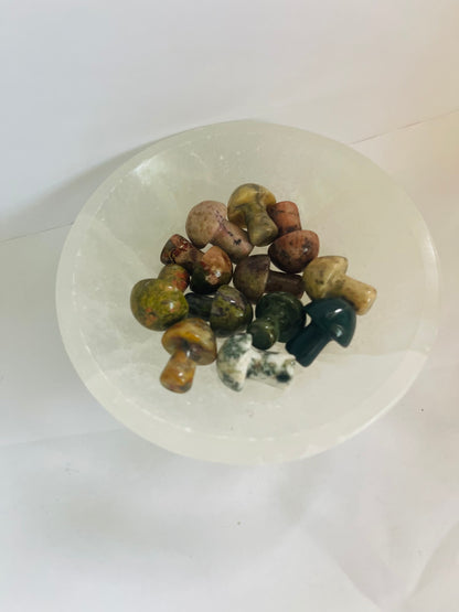 Mix mushrooms tree