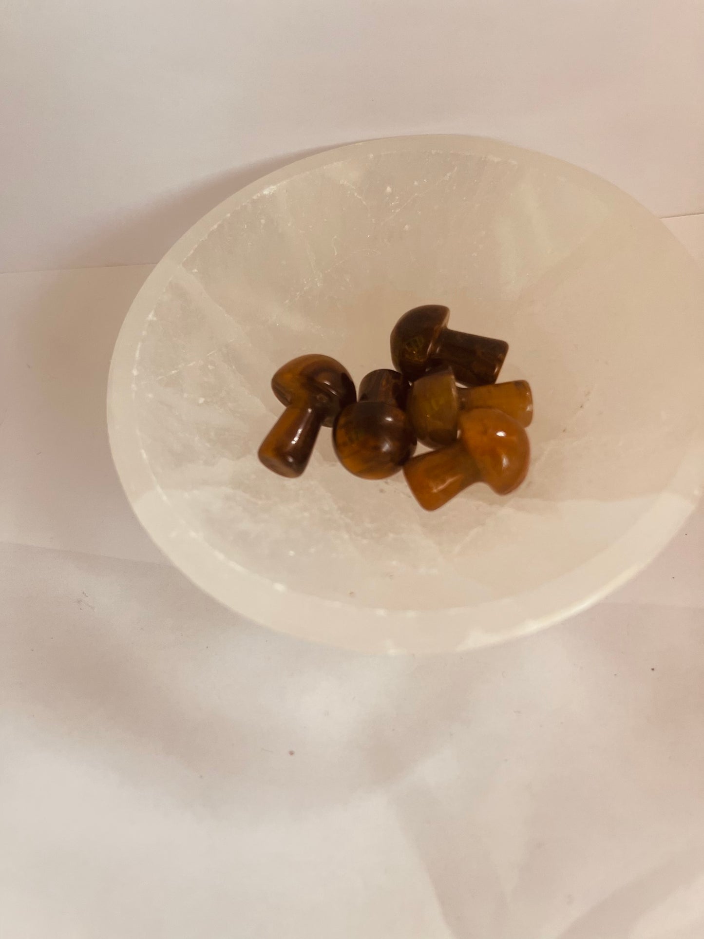 Small tiger  eye mushroom