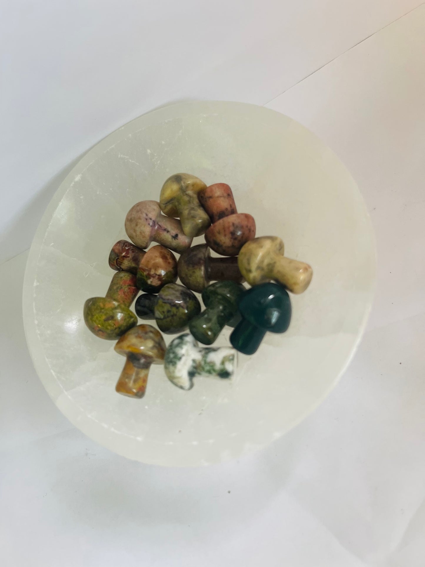 Mix mushrooms tree